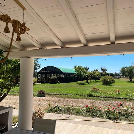 Villa Olga تاركوينيا المظهر الخارجي الصورة