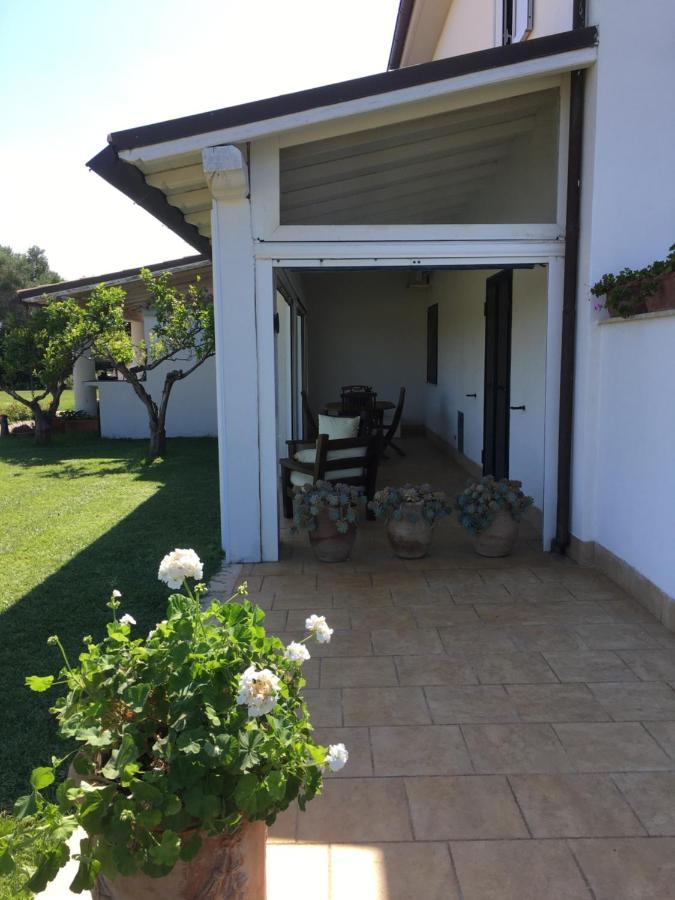 Villa Olga تاركوينيا المظهر الخارجي الصورة