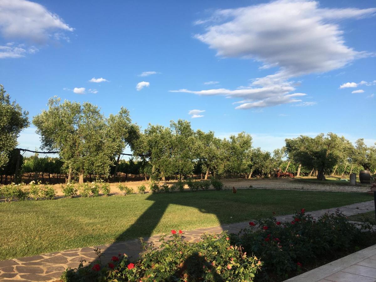 Villa Olga تاركوينيا المظهر الخارجي الصورة