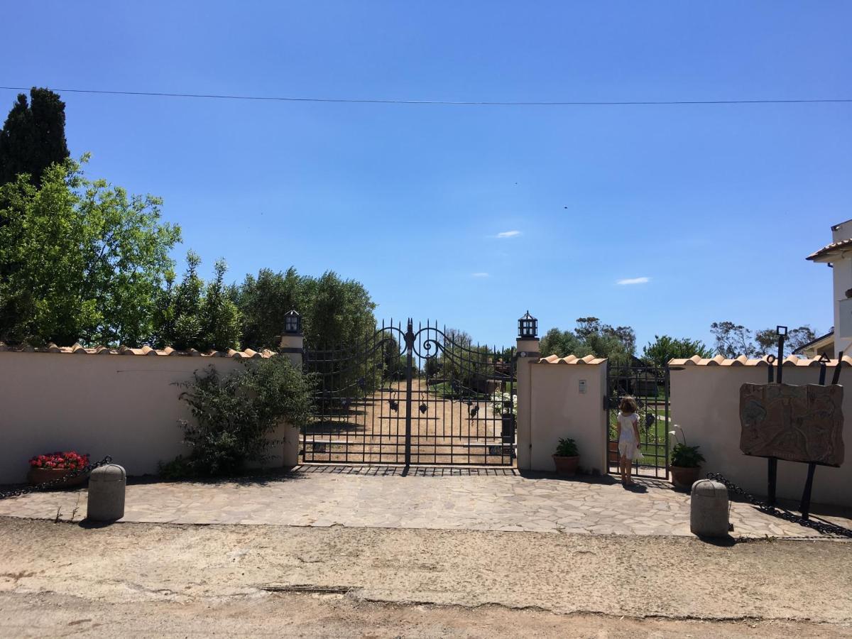Villa Olga تاركوينيا المظهر الخارجي الصورة
