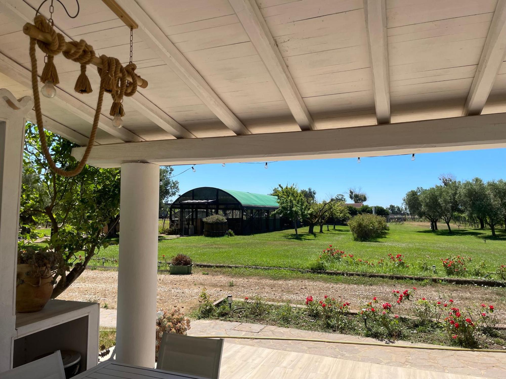 Villa Olga تاركوينيا المظهر الخارجي الصورة