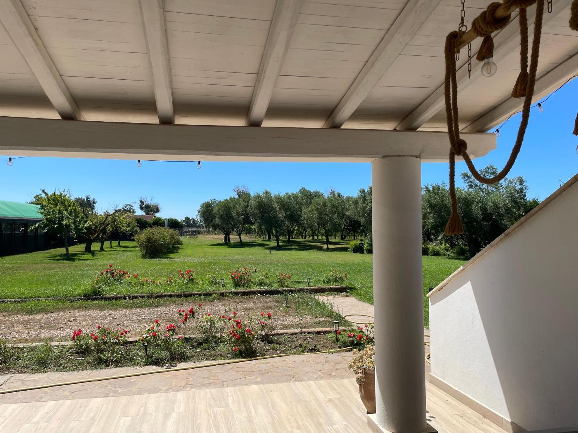 Villa Olga تاركوينيا المظهر الخارجي الصورة