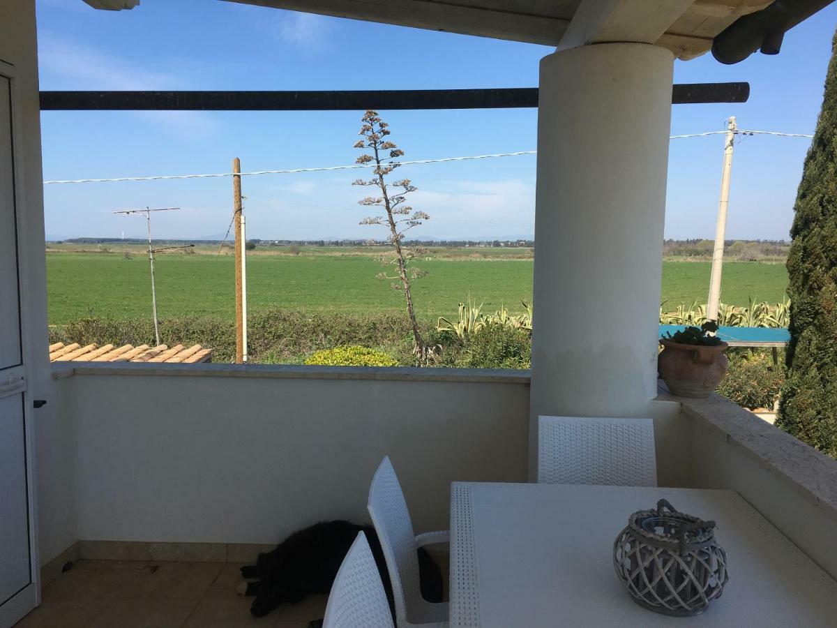 Villa Olga تاركوينيا المظهر الخارجي الصورة